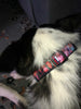 Bad To The Bone pink Key Fob Wristlet Keychain 1"wide Zipper pull Camera strap Petcollarshandmade