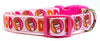Dunkin Donuts Dog collar handmade adjustable buckle 5/8"wide or leash small dog Petcollarshandmade
