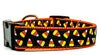 Halloween Candy Corn dog collar handmade adjustable 1" or 5/8" wide or leash Petcollarshandmade