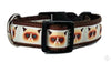 Grumpy Cat dog collar handmade adjustable buckle collar 1" wide or leash $12 - Furrypetbeds