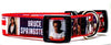 Bruce Springsteen dog collar Handmade adjustable buckle 1" or 5/8" wide Rock Petcollarshandmade