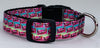 Skittles dog collar handmade adjustable buckle collar 5/8" wide or leash Petcollarshandmade