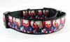 Chucky dog collar, handmade, adjustable, buckle collar,1" wide, leash - Furrypetbeds