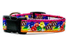 M & M's dog collar handmade adjustable buckle collar 5/8" wide or leash - Furrypetbeds