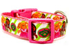 Cabbage Patch Kids dog collar handmade adjustable buckle collar 1"wide or leash - Furrypetbeds
