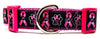 "Bark For a Cure" dog collar handmade adjustable buckle 1"or 5/8" wide or leash Petcollarshandmade