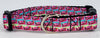 Skittles dog collar handmade adjustable buckle collar 5/8" wide or leash Petcollarshandmade