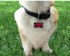 SF 49ers dog collar handmade adjustable buckle football 1" or 5/8" wide or leash Petcollarshandmade - Furrypetbeds
