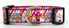 Care Bears dog collar handmade adjustable buckle collar 1" wide or leash Petcollarshandmade