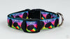 Oreo dog collar handmade adjustable buckle collar 5/8" wide or leash fabric - Furrypetbeds