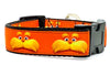 Lorax dog collar handmade adjustable buckle collar 1" wide or leash - Furrypetbeds