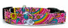 Flowers/Rainbow dog collar handmade adjustable buckle collar 5/8" wide narrow Petcollarshandmade - Furrypetbeds