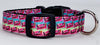 Skittles dog collar handmade adjustable buckle collar 5/8" wide or leash Petcollarshandmade
