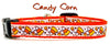 Candy Corn cat or small dog collar 1/2" wide adjustable handmade bell or leash Petcollarshandmade