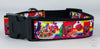 Fruit Loops dog collar handmade adjustable buckle collar 1" wide or leash - Furrypetbeds