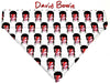 David Bowie dog collar Handmade adjustable buckle collar 1"or 5/8 wide or leash Petcollarshandmade