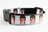 David Bowie dog collar Handmade adjustable buckle collar 1"or 5/8 wide or leash Petcollarshandmade