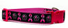 "Bark For a Cure" dog collar handmade adjustable buckle 1"or 5/8" wide or leash Petcollarshandmade