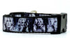 Dolly Parton dog collar handmade adjustable buckle 1" or 5/8" wide or leash Petcollarshandmade