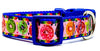 Donuts dog collar handmade adjustable buckle collar 1" wide or leash Petcollarshandmade
