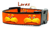 Lorax dog collar handmade adjustable buckle collar 1" wide or leash - Furrypetbeds