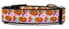 Pizza Party dog collar handmade adjustable buckle collar 1"wide or leash - Furrypetbeds