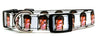 David Bowie dog collar handmade adjustable buckle collar 5/8" wide or leash - Furrypetbeds
