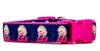 Dolly Parton dog collar handmade adjustable buckle 1" or 5/8" wide or leash Petcollarshandmade