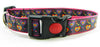 Rainbow Hearts dog collar handmade adjustable buckle collar 1" wide leash fabric - Furrypetbeds