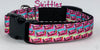 Skittles dog collar handmade adjustable buckle collar 5/8" wide or leash Petcollarshandmade