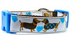 Dachshund dog collar handmade adjustable buckle collar 1" wide or leash Boy blue - Furrypetbeds