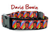 David Bowie dog collar handmade adjustable buckle collar 5/8" wide or leash Petcollarshandmade