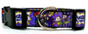 Rugrats Dog collar handmade adjustable buckle collar 1" wide 5/8" wide or leash Petcollarshandmade