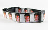 David Bowie dog collar Handmade adjustable buckle collar 1"or 5/8 wide or leash Petcollarshandmade