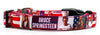 Bruce Springsteen dog collar handmade adjustable buckle collar 5/8"wide or leash Petcollarshandmade