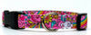 Flowers/Rainbow dog collar handmade adjustable buckle collar 5/8" wide narrow Petcollarshandmade - Furrypetbeds