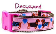 Dachshund dog collar handmade adjustable buckle collar 1" wide leash girly pink Petcollarshandmade