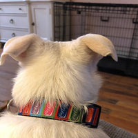 Cartoon dog collar handmade adjustable buckle collar 1" wide or leash Petcollarshandmade