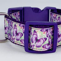 Butterflies dog collar handmade adjustable buckle collar 1" wide or leash Petcollarshandmade