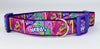 Nerds Candy dog collar handmade adjustable buckle collar 1" wide or leash Petcollarshandmade