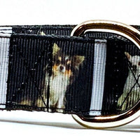 Chihuahua dog collar handmade adjustable buckle collar 1" or 5/8" wide or leash Petcollarshandmade