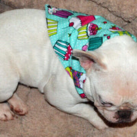 Candy Dog Bandana, Over the Collar dog bandana, Dog collar bandana, puppy