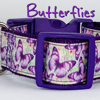 Butterflies dog collar handmade adjustable buckle collar 1" wide or leash Petcollarshandmade