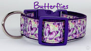 Butterflies dog collar handmade adjustable buckle collar 1" wide or leash