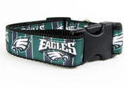 Eagles dog collar handmade adjustable buckle collar football 1" wide or leash Petcollarshandmade