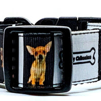 Chihuahua dog collar handmade adjustable buckle collar 1" or 5/8" wide or leash Petcollarshandmade