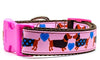 Dachshund dog collar handmade adjustable buckle collar 1" wide leash girly pink Petcollarshandmade