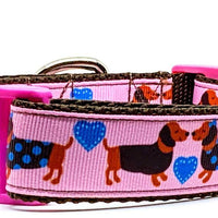 Dachshund dog collar handmade adjustable buckle collar 1" wide leash girly pink Petcollarshandmade