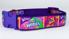 Nerds Candy dog collar handmade adjustable buckle collar 1" wide or leash Petcollarshandmade