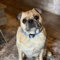 Dallas Cowboys dog collar handmade adjustable 1" or 5/8" wide or leash pink